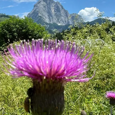 Casera Onorina Val Visdende Apartmán Santo Stefano Di Cadore