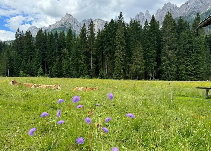 Casera Onorina Val Visdende